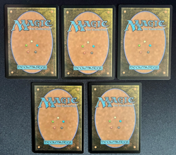 MTG Marvel's Spider-Man SPM - Basic Land Set (5 Cards) Near Mint - Image 2