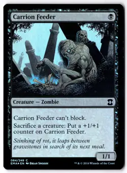 Carrion Feeder EMA 84 Magic: The Gathering Foil C NM - Image 1
