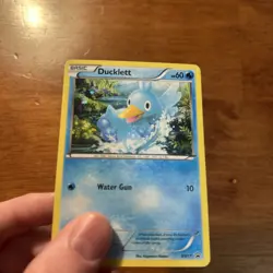 Pokemon - Ducklett - BW17 - Black Star Promo - Holo Rare - NM - Image 1