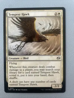 Tempest Hawk (0031) - Tarkir: Dragonstorm - Common NM MTG - Image 1