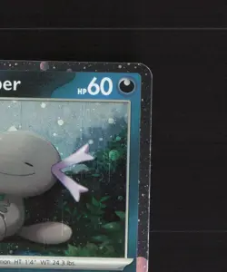 Paldean Wooper SVP 041 Scarlet & Violet Black Star Promo Holo Pokemon Card LP+ - Image 4