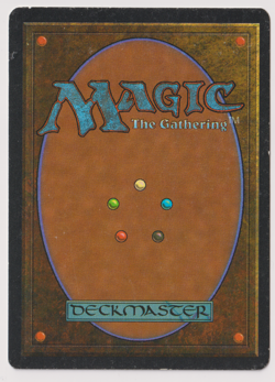 Tundra Dual Land - MTG Revised Reserved List (Rare) - Image 2