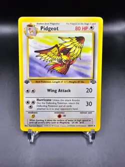 Mint/NM - Pidgeot - 24/64 - 1st Edition - Jungle - Pokemon Card - Image 1