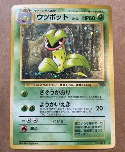 Vintage Pokemon Card Lot Holo Rare Japanese +English Mew Gengar Raichu Poliwrath - Image 3