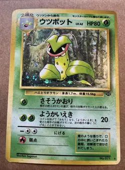 Vintage Pokemon Card Lot Holo Rare Japanese +English Mew Gengar Raichu Poliwrath - Image 5