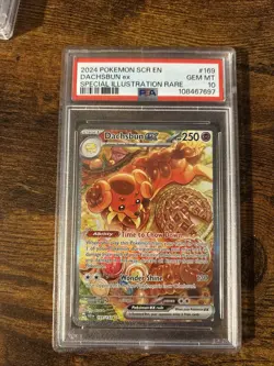 PSA 10 GEM MINT Dachsbun Ex #169 Pokemon TCG Scr En-Stellar Crown - Image 1