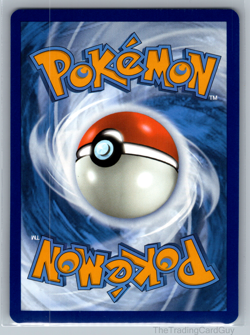 Morpeko 206/182 SV04: Paradox Rift Illustration Rare Pokemon Card NM - Image 2