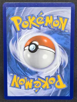 Charizard VSTAR SWSH262 Sword & Shield Promo Card Holo - Image 4