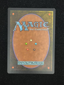 Wort, Boggart Auntie - Lorwyn - Magic the Gathering MtG - MP - Image 2