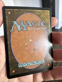 MTG - Brigid, Hero of Kinsbaile - Lorwyn - NM - $1 Shipping - Image 2