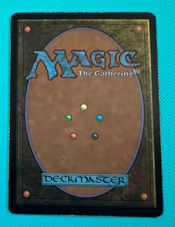 Seedborn Muse - 9th Edition - MTG - Magic the Gathering - Image 2