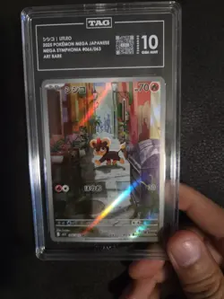 TAG 10 GEM MINT Japanese Pokemon Litleo 066/063 M1s: Mega Symphonia Holo - Image 1
