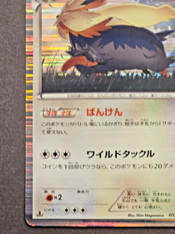Stoutland 053/059 BW6 Cold Flare Holo Rare Japanese Pokemon Card 2012 LP - Image 3
