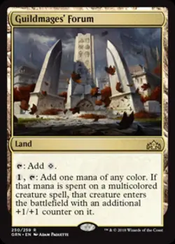 Guildmages' Forum - Near Mint MTG Guilds of Ravnica - Image 1