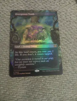 Overgrown Tomb (Borderless) Lorwyn Eclipsed Foil - Image 1