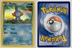 Mudkip XY38 Holo NM/M P XY Promo Pokemon - Image 3