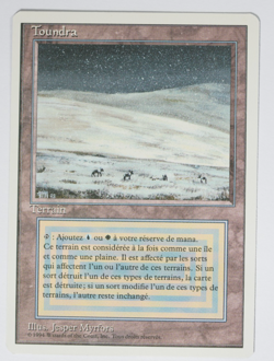 Tundra (French) Magic Card Foreign White Border MTG - Image 1