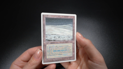 Tundra (French) Magic Card Foreign White Border MTG - Image 2