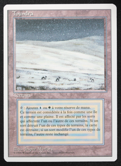 Tundra (French) Magic Card Foreign White Border MTG - Image 3