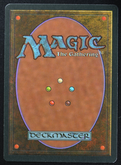 Tundra (French) Magic Card Foreign White Border MTG - Image 4