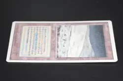 Tundra (French) Magic Card Foreign White Border MTG - Image 5
