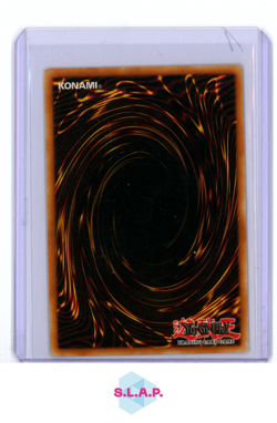 BLUE-EYES WHITE DRAGON 1ST EDITION YUGIOH SDK-E001 2002 STRTER DECK KAIBA - EN - Image 2