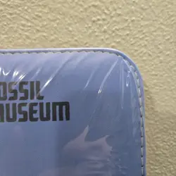 Pokemon Fossil Museum: Pokemon TCG Zip Binder - Image 2