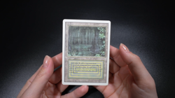 Bayou Magic Card Revised Dual Land MTG - Image 2