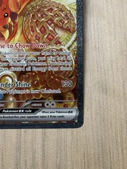 Dachsbun ex 169/142 Stellar Crown NM Pokemon Single Card - Image 5