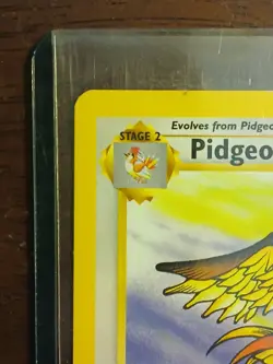 Pidgeot Base Set Non-Holo Jungle Edition - Pokemon Card - Image 2
