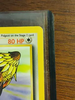 Pidgeot Base Set Non-Holo Jungle Edition - Pokemon Card - Image 3