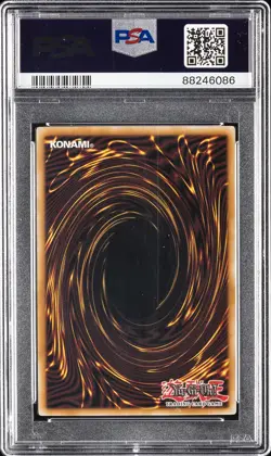 2010 YU-GI-OH! TSHD-THE SHINING DARKNESS #EN040 BLACK-WINGED DRAGON PSA 10 - Image 2