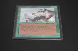 Aspect of Wolf Magic Card Beta LEB MTG - Image 5