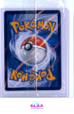VENUSAUR POKEMON 3 2025 151C RARE SEALED PROMO S CHINESE - Image 2