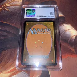 Windswept Heath X1 Mtg Judge Promo Nm/Mint Foil CGC 8.5 - Image 4