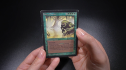 Force of Nature Magic Card Beta LEB MTG - Image 2