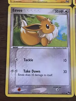 Pokemon TCG POP Series 3 6 Card Lot Plusle Combusken Eevee x3 Ivysaur ALL LP-NM - Image 5