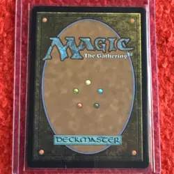 Wizards of the Coast Blazemire Verge Foil Rare Land 0256 DSK 2024 EN - Image 2