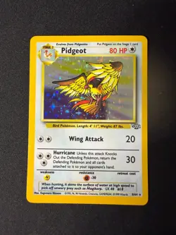 1999 POKEMON Pidgeot Jungle 8/64 Holo - Image 1
