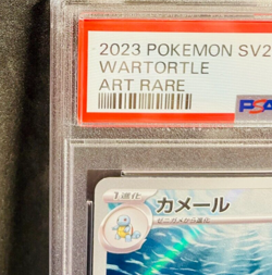 PSA 10 Pokemon Card Wartortle Art Rare 171/165 AR SV2a Gem Mint Japanese - Image 3