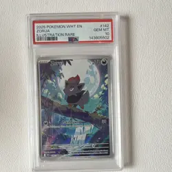 Zorua 142/086 SV: White Flare Illustration Rare Holo English 2025 PSA 10 - Image 3