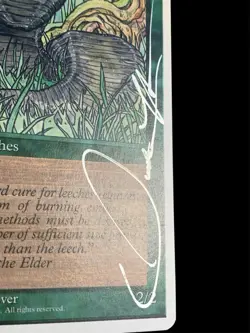 1995 MTG - 4th Edition - LAND LEECHES - Quinton Hoover Signed - NM - Image 3