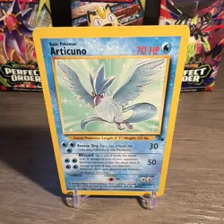 Pokemon TCG Vintage 1999 14-Card Lot Base Set/Jungle Holo/Regular Unlimited - Image 1