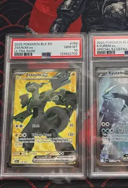 Pokemon TCG Zekrom EX Black Bolt English Ultra Rare 158/086 PSA 10 GEM MT - Image 3