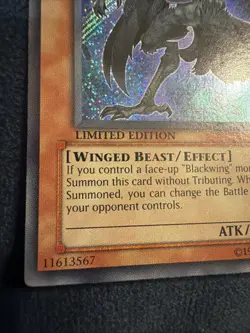 Blackwing - Elphin the Raven Secret Rare 2009 CT06-ENS01 LP Holo Bleed Error - Image 5