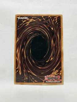 YuGiOh! Blackwing - Elphin the Raven - CT06-ENS01 - Limited Ed - Secret Rare - Image 4