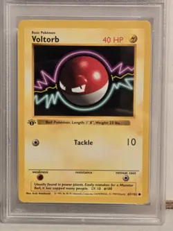 1999 Pokemon 1st Edition Base Set VOLTORB 67/102 PSA 9 Mint Condition Card #67 - Image 3