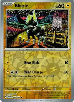 Pokemon TCG Illustrator Shinji Kanda Card Lot x14 w/ 2 Holos + 2 Reverse Holos - Image 3