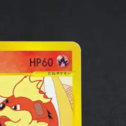 Growlithe 030/P Promo McDonald's wind from the sea Japanese Pokemon Card #DAA4 - Image 2