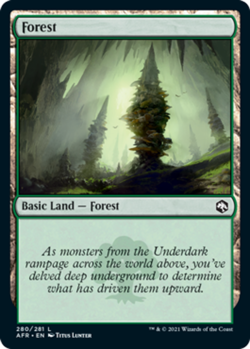 1x Forest (280) - Foil - Adventures In The Forgotten Realms - Near Mint, English - Image 1